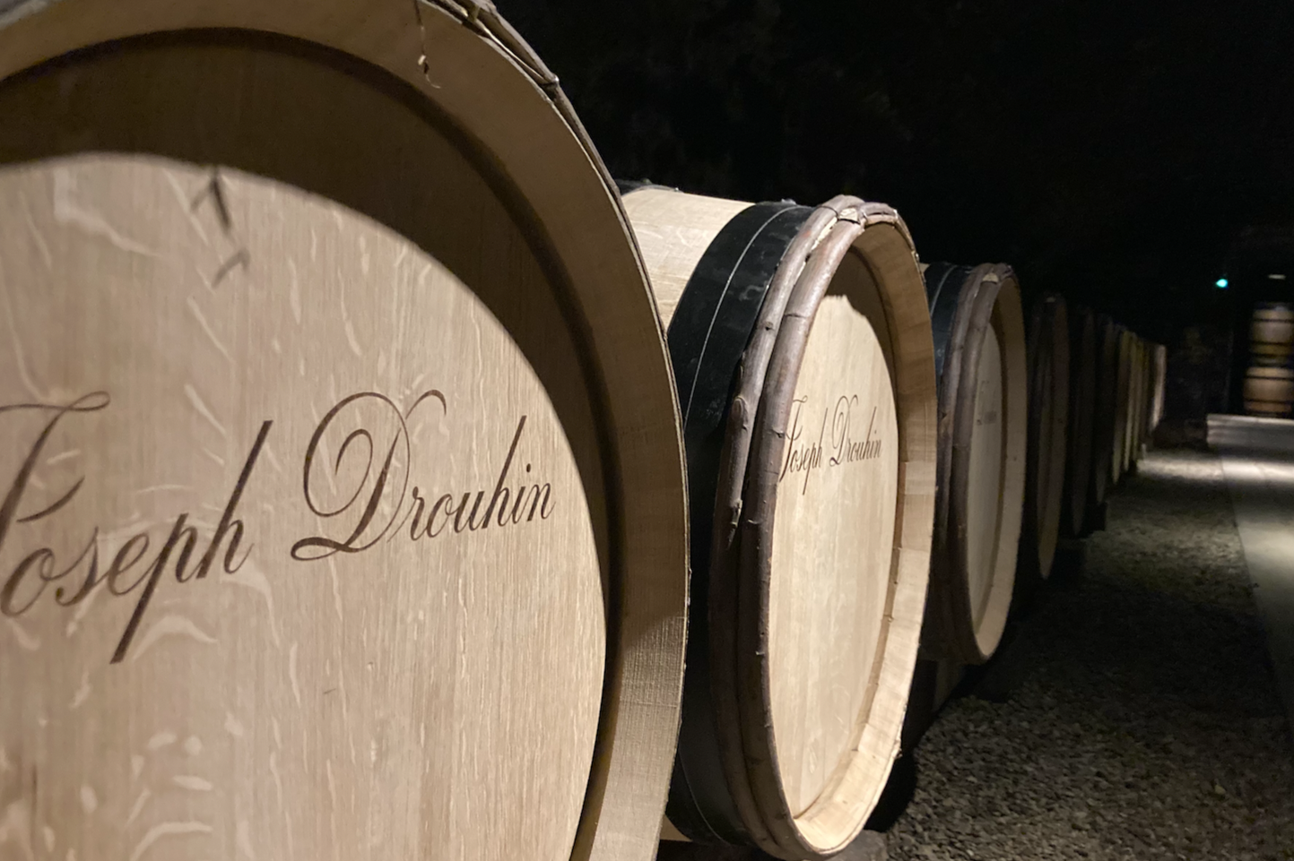 Cité internationale de la gastronomie et du vin dijon vidéo